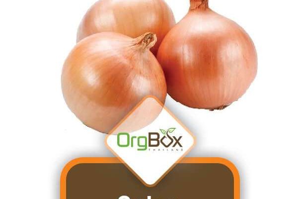 Kraken istand onion ссылка