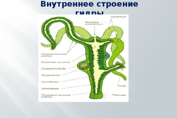 Кракен перестал работать