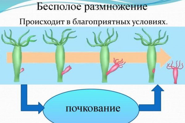 Кракен даркнет магазин